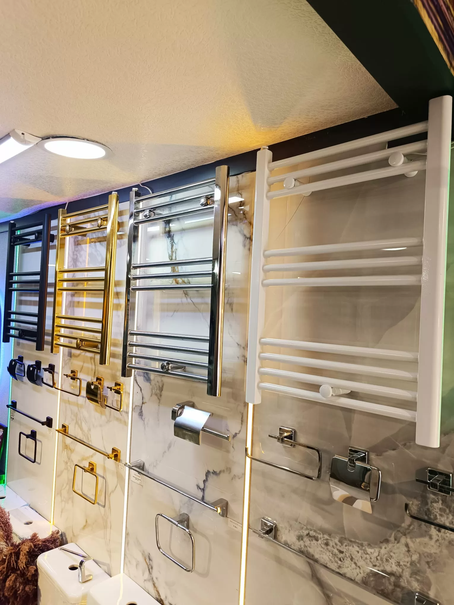 Havlupan Vizyon Modeli